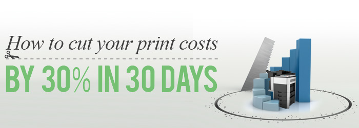 cut costs by 30 percent in 30 days landing page